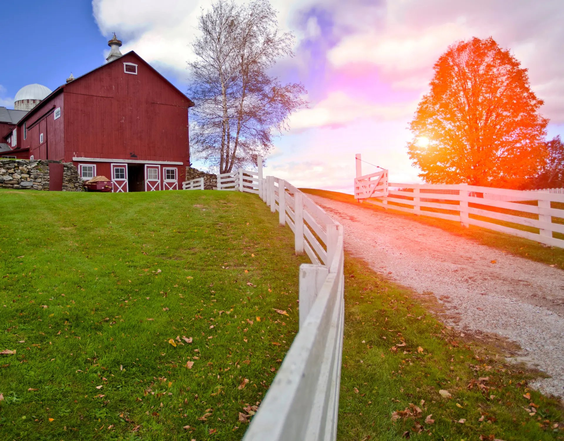 How Beneficial Microbes Can Help A Healthy Farms (1)