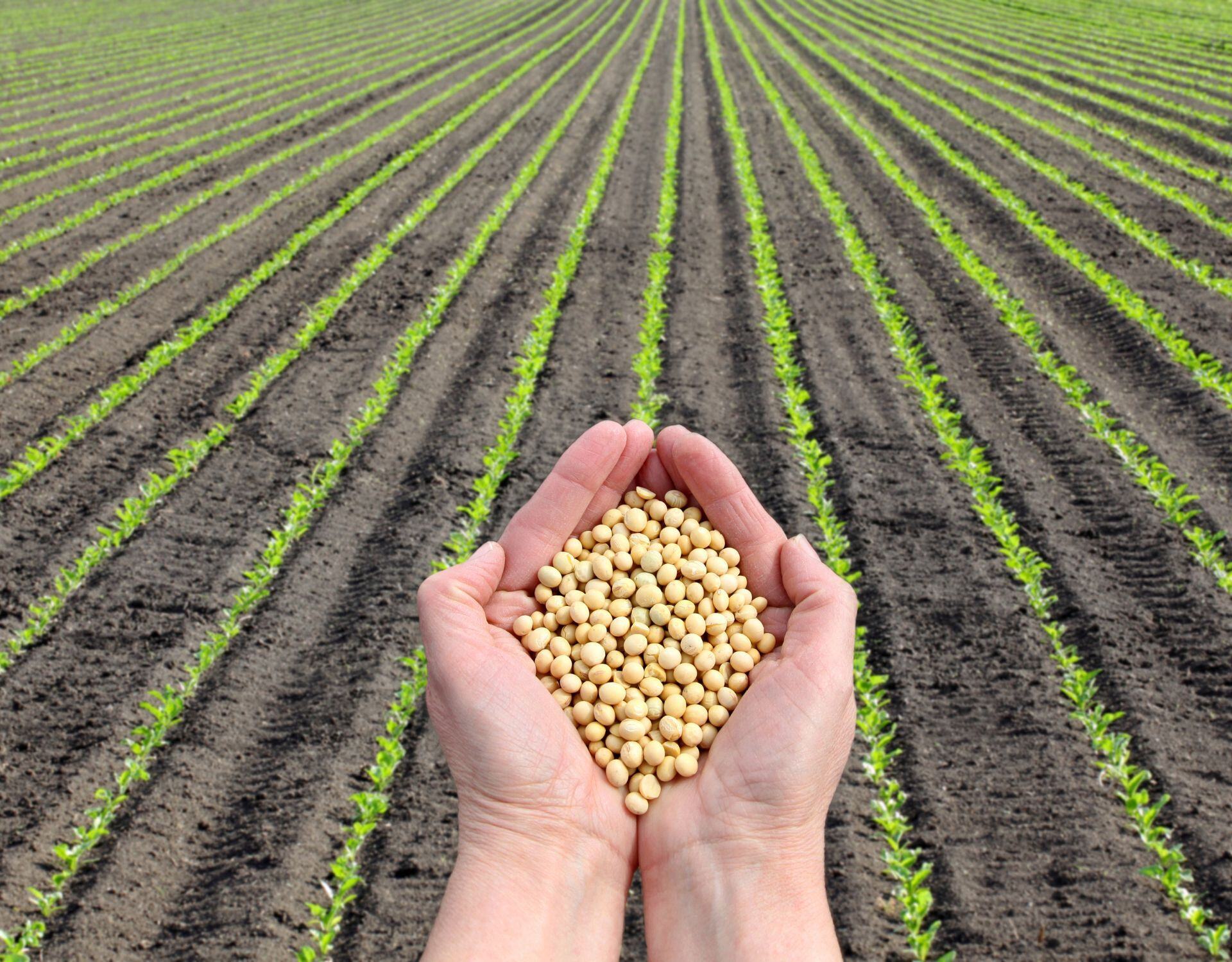 Evaluando la salud del suelo y la biodiversidad