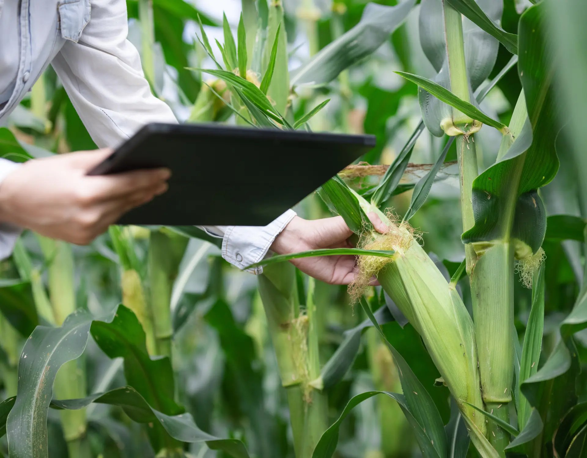 new blog headers (20)