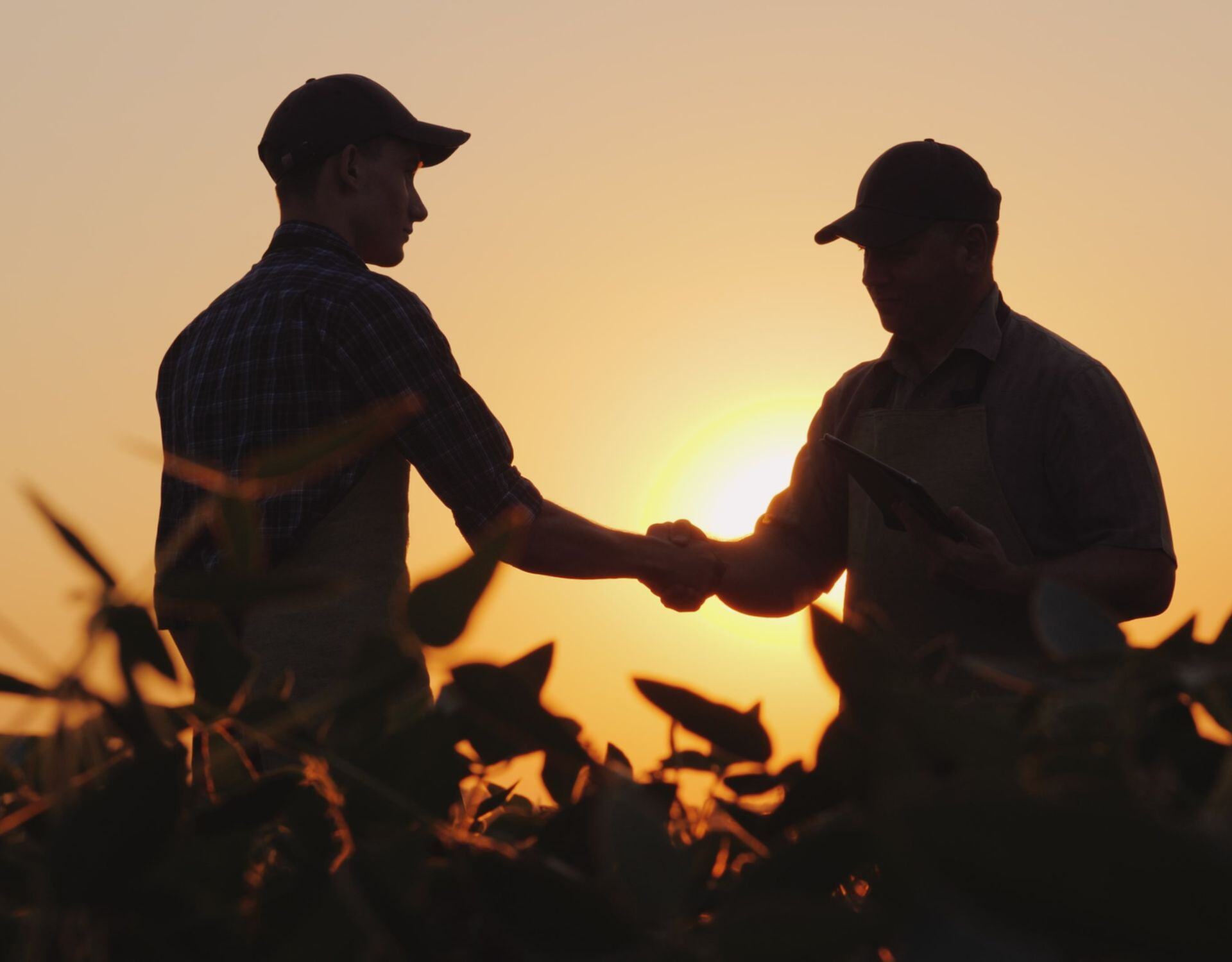 Guía para distribuidores: Cómo utilizar pruebas de ADN en el suelo