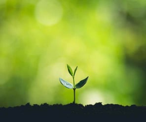 Glosario de salud del suelo - Imagen de Suelo