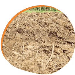 Dimensions of soil health: Soil and Roots