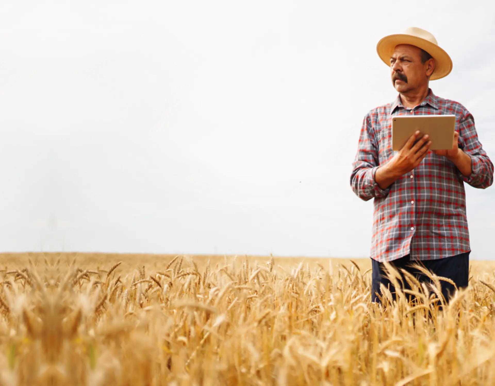 Cómo Distribuidores Apoyan a Agricultores con Productos Biológicos