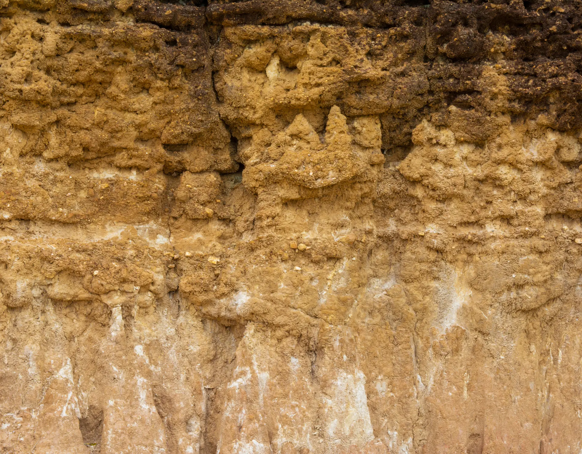 Cómo los microbios beneficiosos pueden contribuir a la salud de las granjas